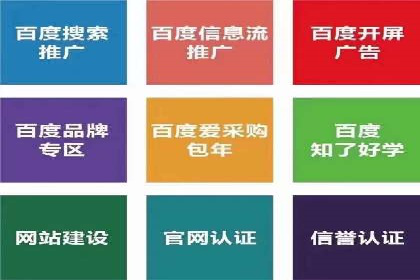 某公司信息流广告投放成功案例分析