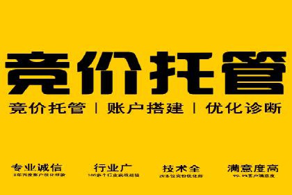 行业专家解析SEM代运营成功案例